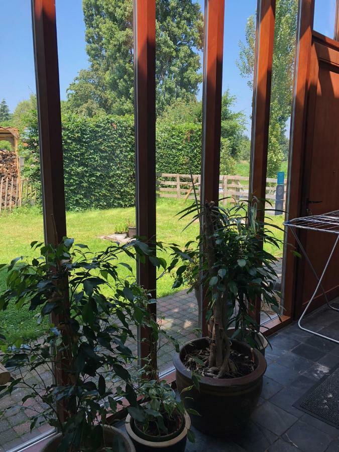 Hof Ter Sysen Villa Loppem Екстериор снимка